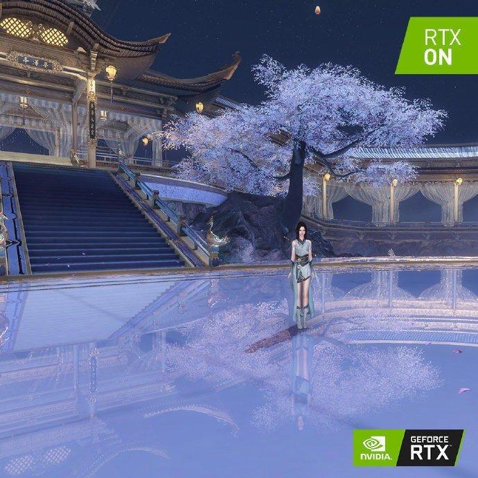 救援猫与武士