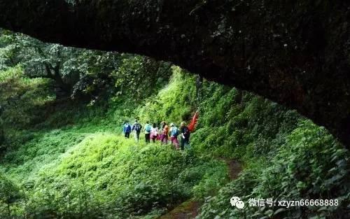 株洲交通综合执法部门成功查获1台恶意逃避检查的“双百”车辆