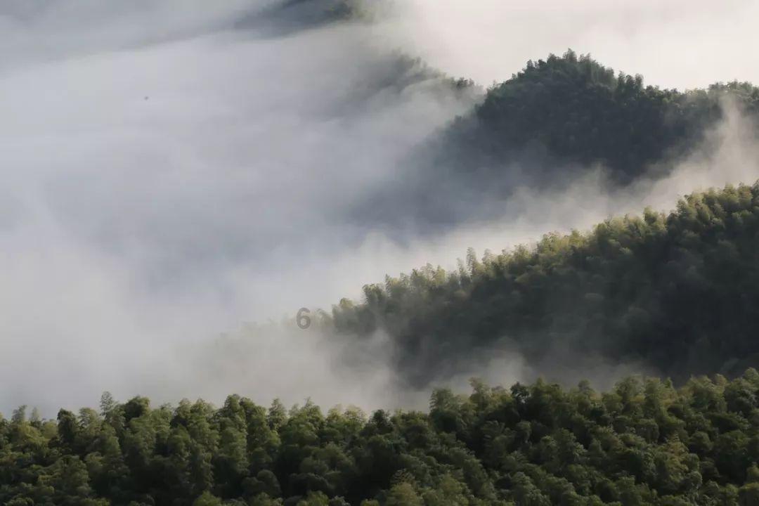 拯救足球运动员